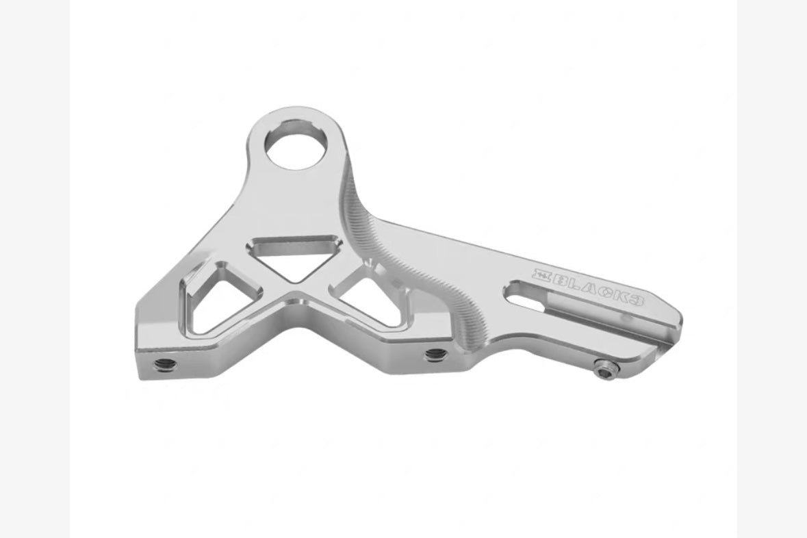rear radial caliper mount for Harley-Davidson Softail, rear view