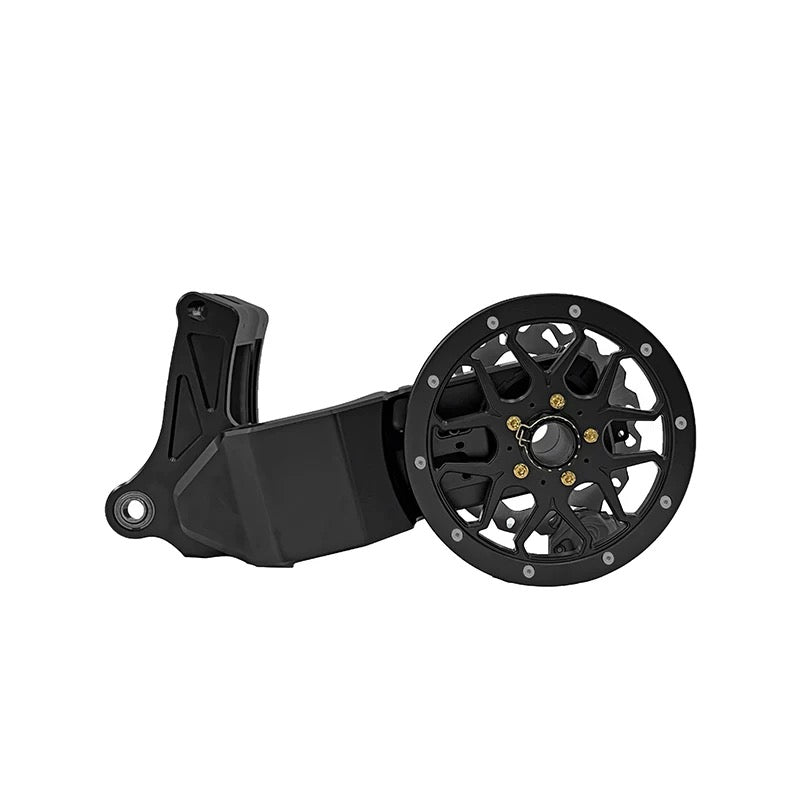 single-sided swingarm conversion kit for Harley-Davidson Softail, rear view
