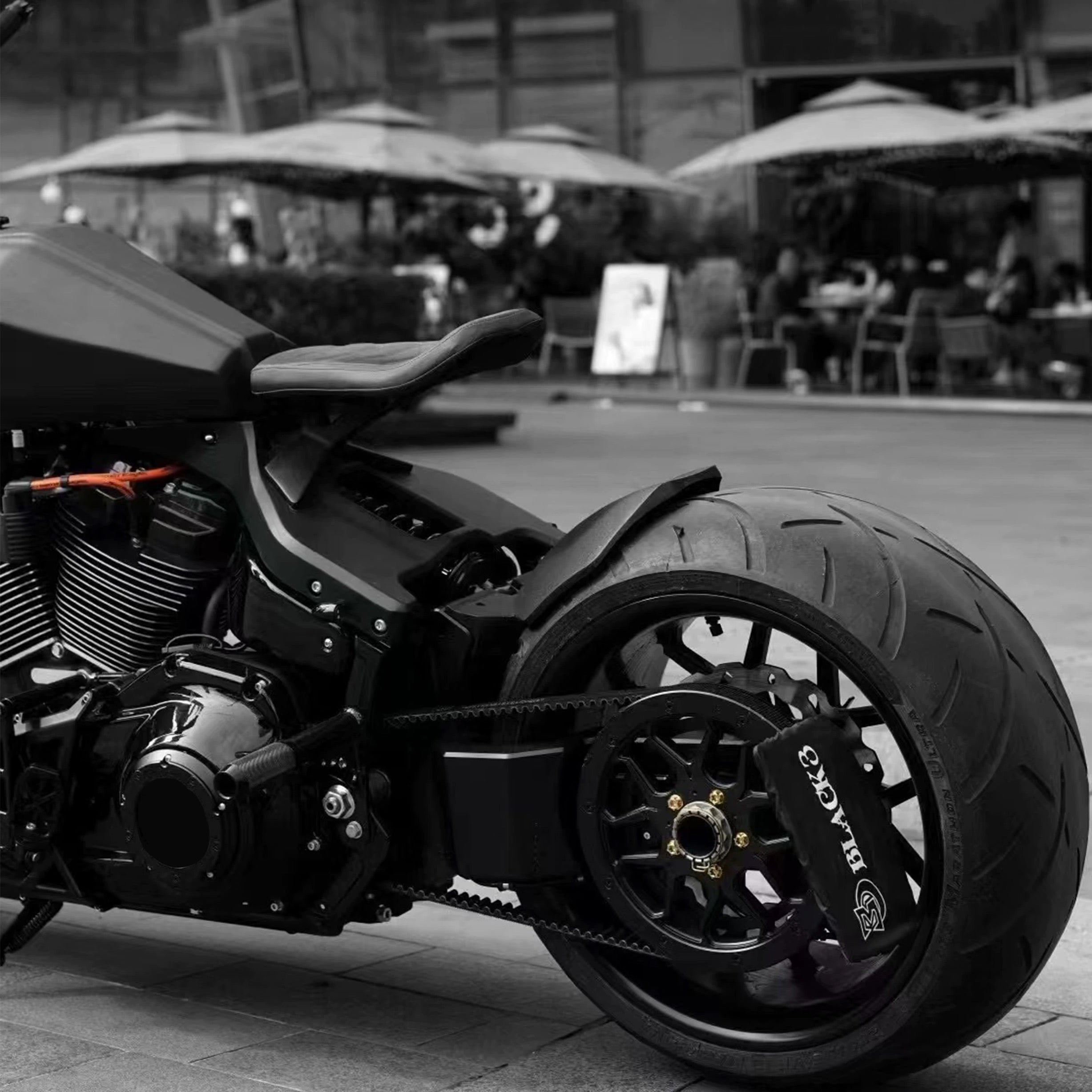single-sided swingarm conversion kit for Harley-Davidson Softail, detail view