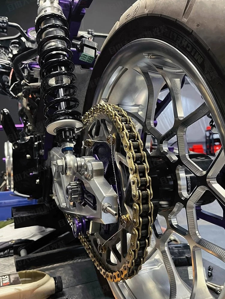 chain drive conversion kit for Harley-Davidson, rear view