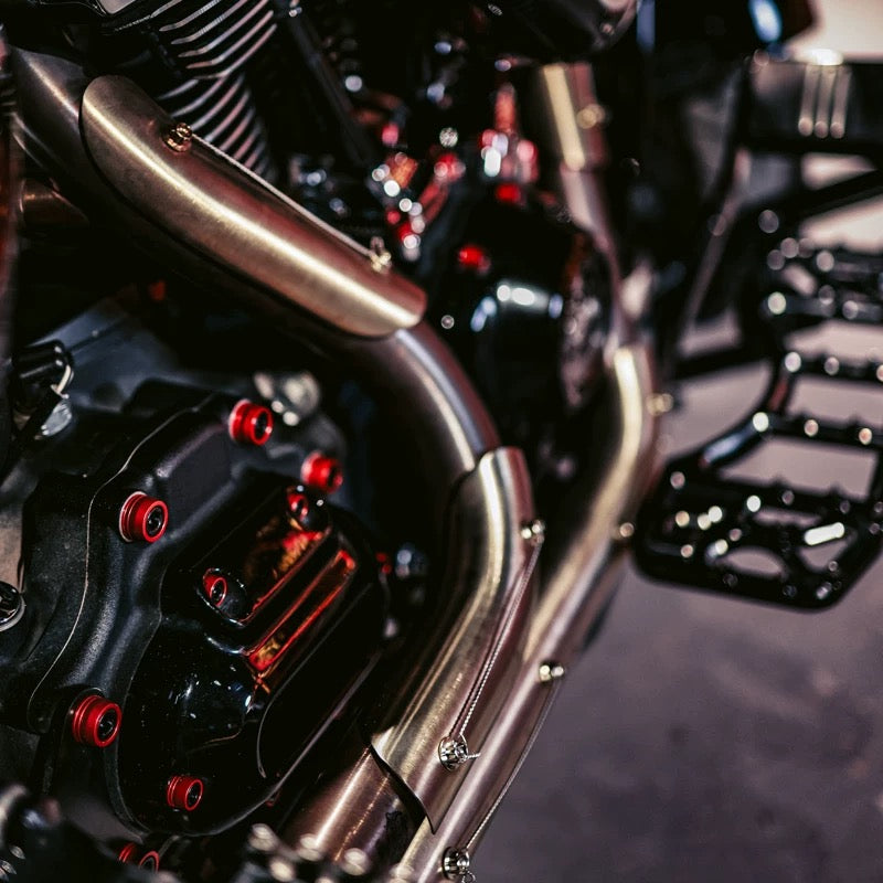 multi-color CNC engine screws for Harley-Davidson, close-up